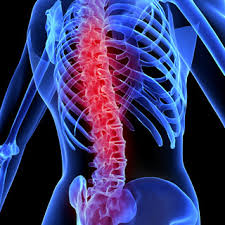 Magnesium and Spinal Cord Injury