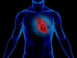cardiovascular disease and magnesium news