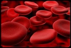 healthy blood cells