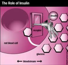 insulin resistance and magnesium